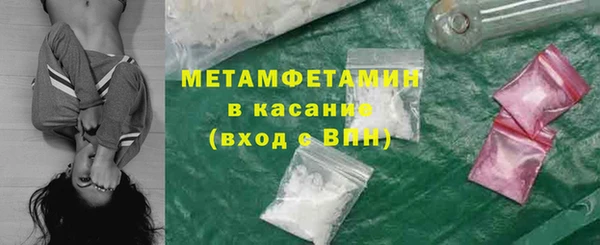 прущие грибы Богородицк