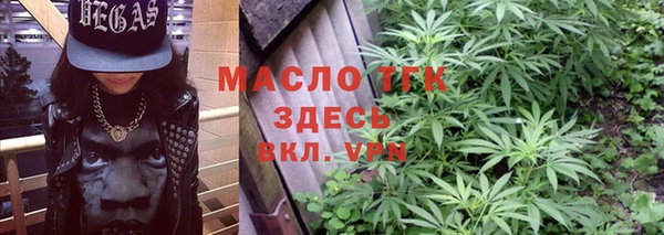 метадон Богданович