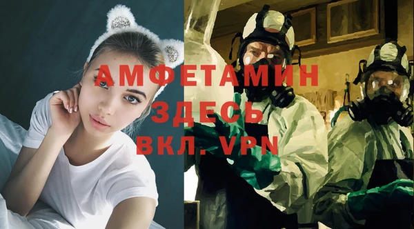сатива Белокуриха