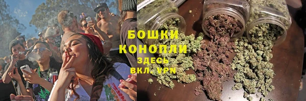 метадон Богданович