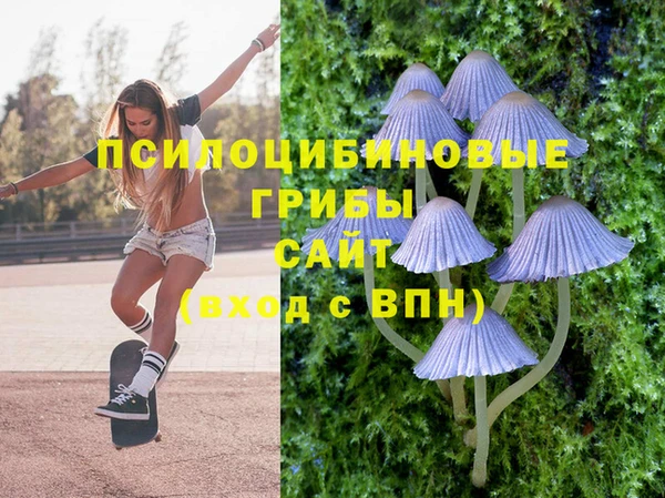 мдма Приозерск