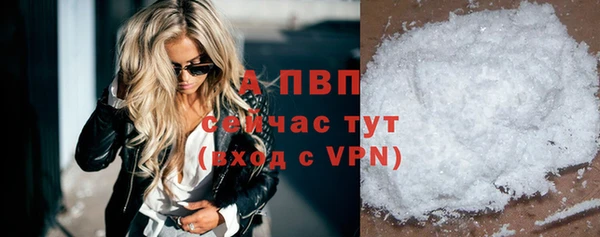 сатива Белокуриха